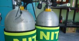 Nitroox The of "Nitroox" reverberates through the air, a powerful and electrifying buzz that commands attention. It is a