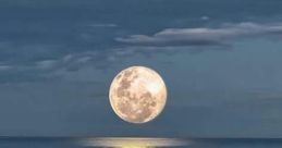 Moon Light