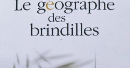 Brindilles qui se cassent#2