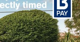 BMF Advertising