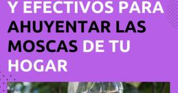 RicFazeres moscas