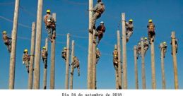 Condições de operar mais não! (Triste)