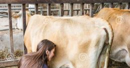 al Cow Milking