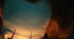 IT Chapter 2
