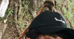 Ranz Kyle