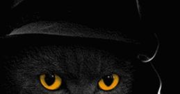 Cat Agent