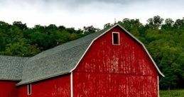 The farm