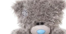 Tatty Teddy