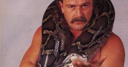 Jake the Snake Roberts