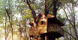 Little Treehouse