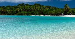 Beaches
