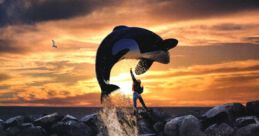 Free Willy