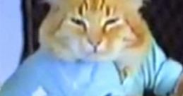 Keyboard Cat