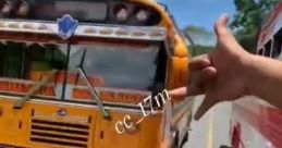 Carrera de buses