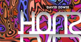 David Zowie Song