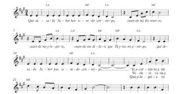 Que detalle señor The phrase "Que detalle señor" echoes through the air, a melodic combination of syllables that convey a