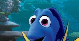 Finding Dori
