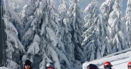 Ski School Play and download Ski School clips. #ski school #learn how to #skiing #winter sports #flirt #ive been watching