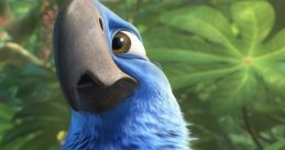 Rio 2