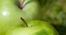 Apple Guy