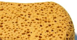 Sponge