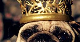 KingPug