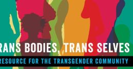 Trans news intro