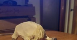 Headcrab Bite