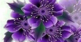 Hello and Good Morning