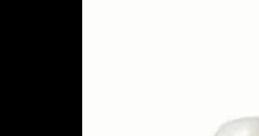 Xeomorales