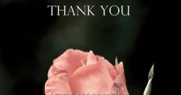 Thank u for the roses