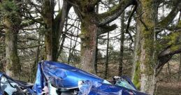 Wobbly Junk Crash The first that comes to mind when thinking about Wobbly Junk Crash is a loud, metallic clang. The of