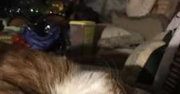 Zzzzzzzzzz