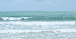 Beach littered with debris, highlighting pollution and environmental impact on coastal areas; a bad beach experience.
