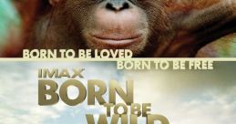 Goal Born to be Wild