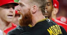 MLB Brawl