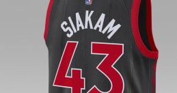Toronto Raptors