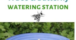 Bee Treading Water