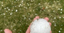 What tha hail