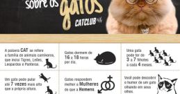 Vai tora os inforca gato tudo