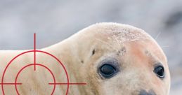Seal
