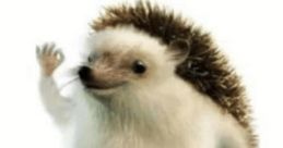 Funny haha yes
