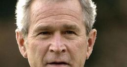 Bush