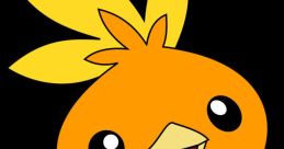 Torchic!