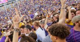 LSU Football Fans