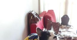 BORAAAAAAAAAAAAAAAAAAAAAAAAAAA