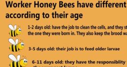 Usual Bee Works
