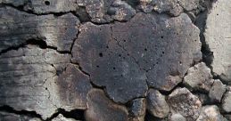 Cracked
