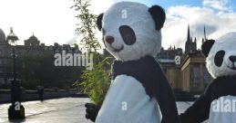 Chengdu Pambassador