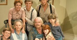 Waltons TV Series